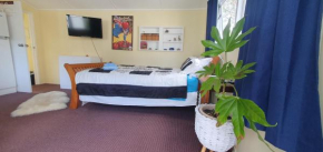 Waikanae Studio B&B